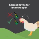 AviAqua 8L med drikkekopper og flottør thumbnail