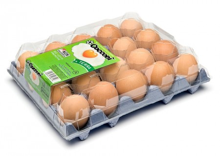 Eggbrett til hønseegg 1x20 med lokk - 50 stk