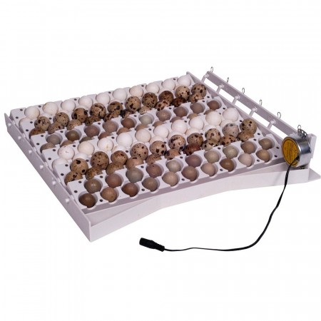 Eggvender for hønsegg og vaktelegg