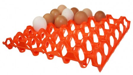 Eggbrett i hardplast