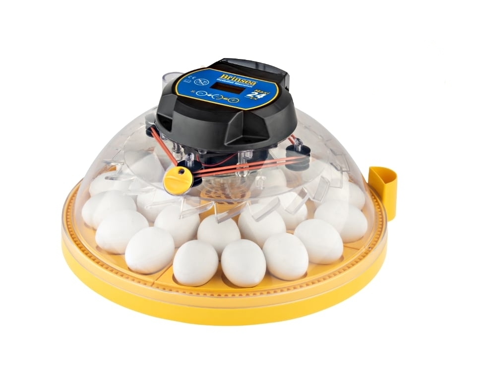 Maxi 24 EX gjør opp for sin lille størrelse med en enorm spesifikasjon og gir den ideelle miljøkontrollen for maksimal klekkeresultat opptil 24 hønseegg. Den høyfrekvente vendefunksjonen gjør disse raffinerte rugemaskinene ideelle for papegøyer så vel