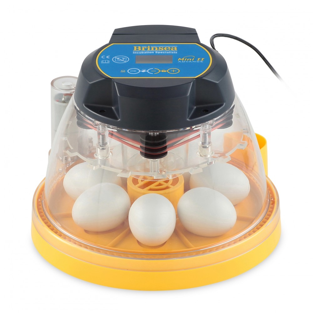 Perfekt for de som er nye i denne spennende hobbyen med ruging av egg, gir Brinsea Mini II Advance rugemaskin fordelene med automatisk vending, med digitale alarmer som en ekstra sikkerhet og nedtelling til klekking. 