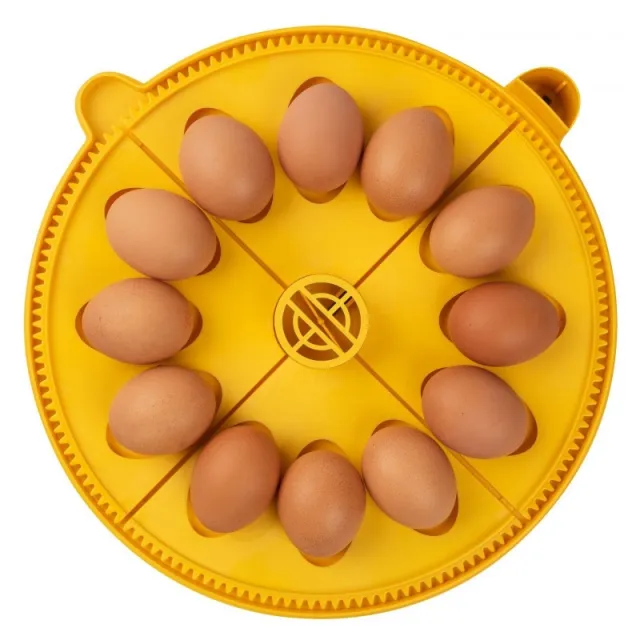 Brinsea Maxi eggkvadranter til andeegg