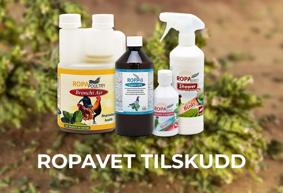 RopaVet