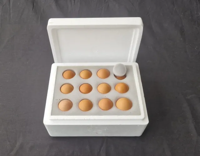 Eggpakkeboks i isopor