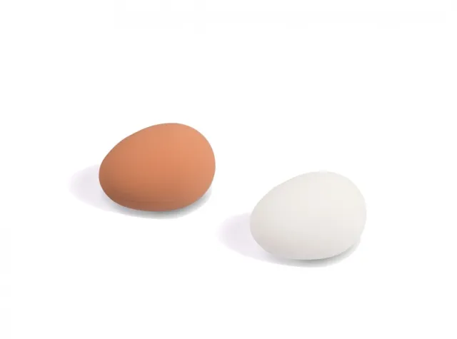 Kunstige egg, høns 