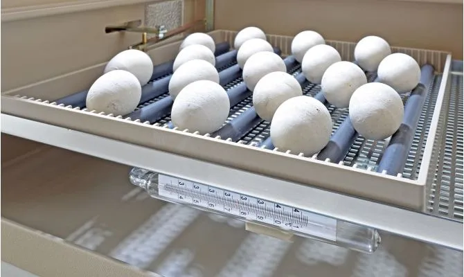 Produktbilde 6